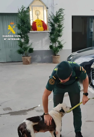 Un perro salva la vida gracias a la intervención de la Guardia Civil