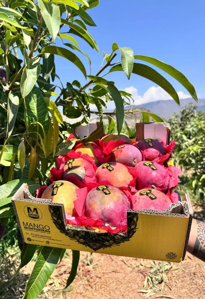 Nace Almafresh, la nueva marca de fruta premium que conquista la alta cocina