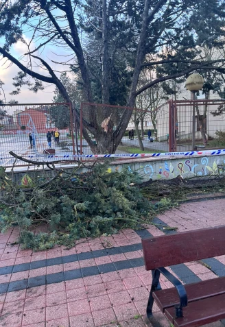 Colegio Ramón Carande en la capital Palentina