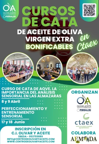 Los cursos de cata 2025 que tiene como objetivo continuar promoviendo y divulgando el conocimiento sobre la calidad del aceite de oliva virgen extra