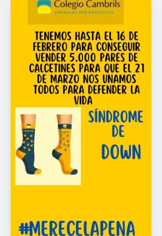 Síndrome de Down