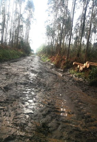 Las lluvias también dejan algunos caminos muy dañados