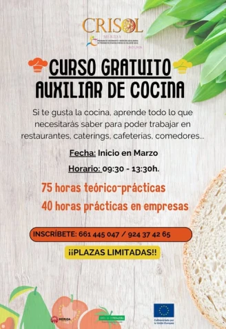 Cartel programa Crisol