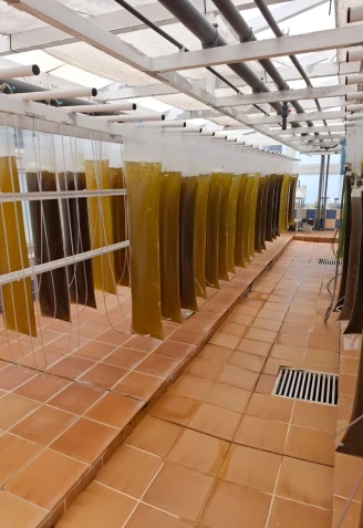 Centro de Investigaciones Marinas de Ribadeo