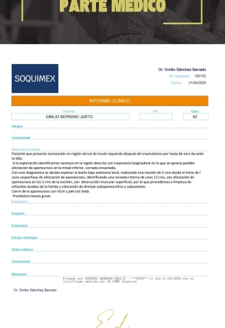Parte médico de Emilio de Justo tras su cogida en Arlés (Francia)