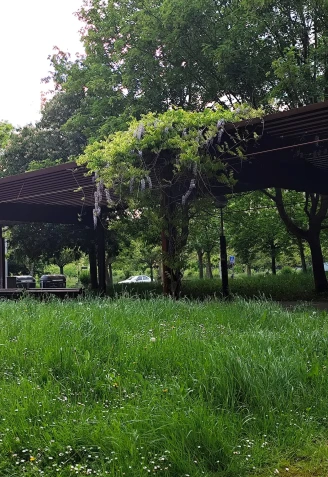 La vegetación campa a sus anchas en el barrio de Lakua, Vitoria