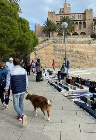 Vendedores ilegales en los alrededores de la Catedral de Mallorca
