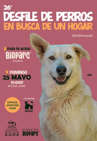 Cartel desfile AUPA 26