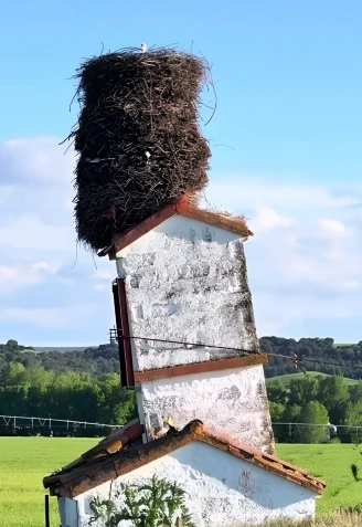 La espectacular estampa de este nido en la provincia de Burgos atrae a numerosos curiosos y turistas