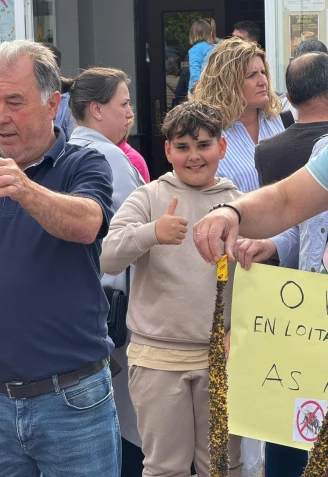 Algunos mostraron tiras adhesivas llenas de moscas