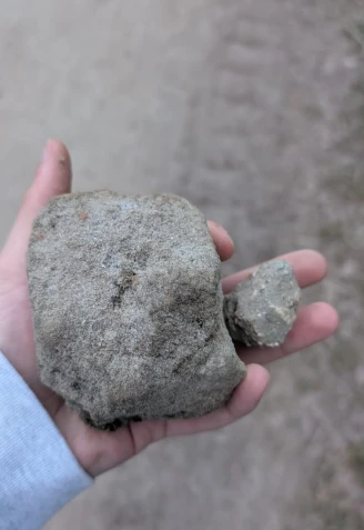 Pedras en el piñeiral de A Magdalena