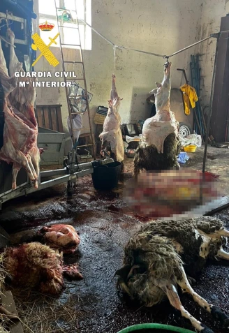 Amplia operación de control ganadero en la provincia