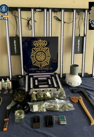 Imagen del material incautado