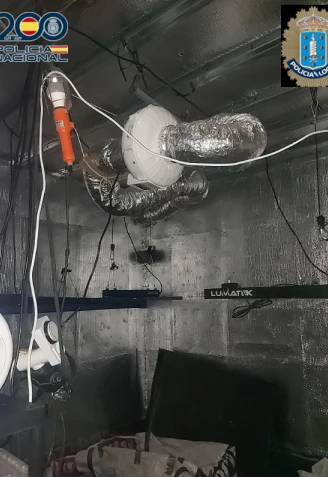 Plantación de marihuana indoor en un piso de A Coruña