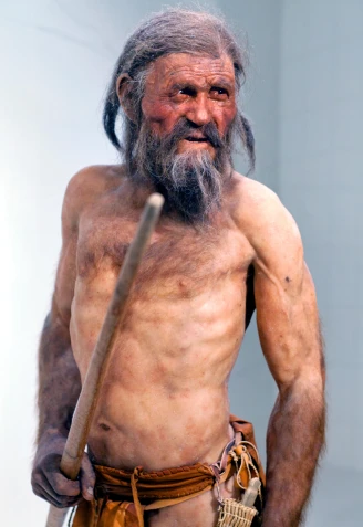 KWNJ97 Otzi the Iceman, South Tyrol Museum of Archaeology, Bolzano, Italy