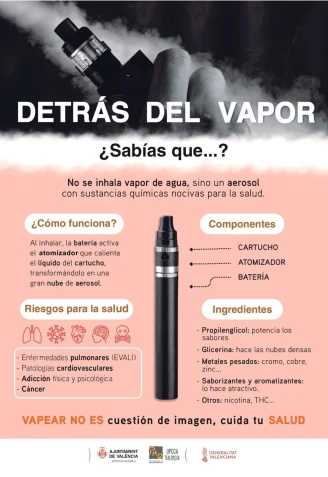 Cartel de la campañaAYUNTAMIENTO DE VALÈNCIA