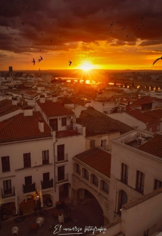 Despierta hacia el sol, absorbido por la galaxia, cuando de pronto giren las tuercas del crepúsculo encontraras mundos que cuelgan de los árboles