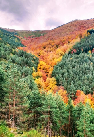 Sierra de la Demanda