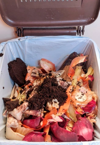 Basura orgánica en el cubo marrón de la cocina de una casa