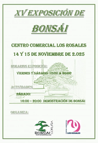 XV Exposición de Bonsái en A Coruña
