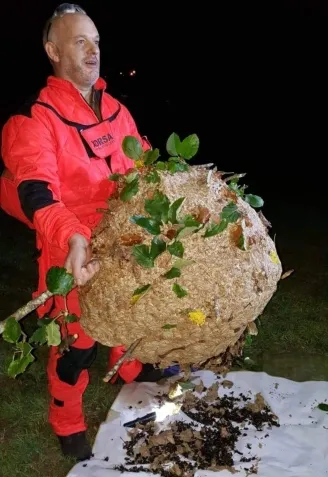 Lolo Andrade es técnico en prevención de plagas