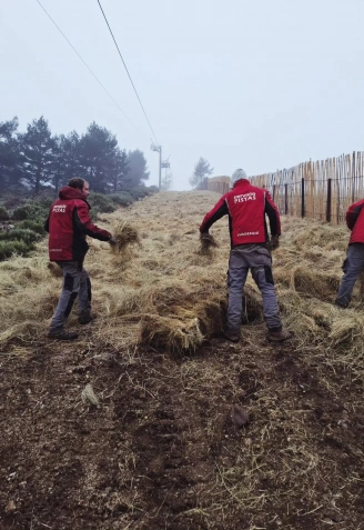 Refuerzo de la cubierta vegetal