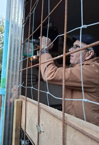 refugio para el rebaño de cabras de Rianxo