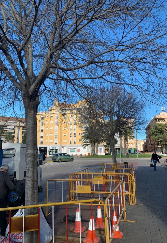 Dénia mejora su estación de autobuses con una nueva zona de sombra