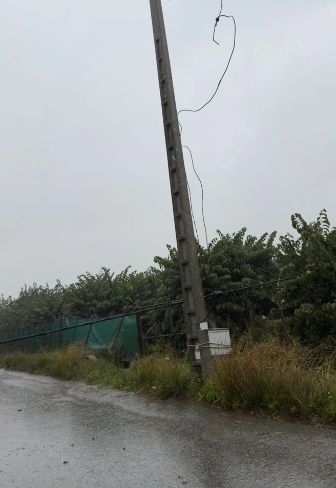 El fuerte viento pone en alerta a Salobreña con caídas de árboles y desprendimientos