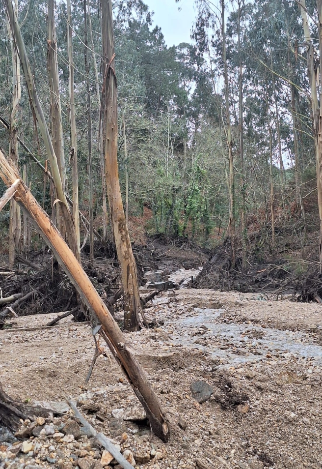 Arrastre de lodos de Monte Neme, en Malpica