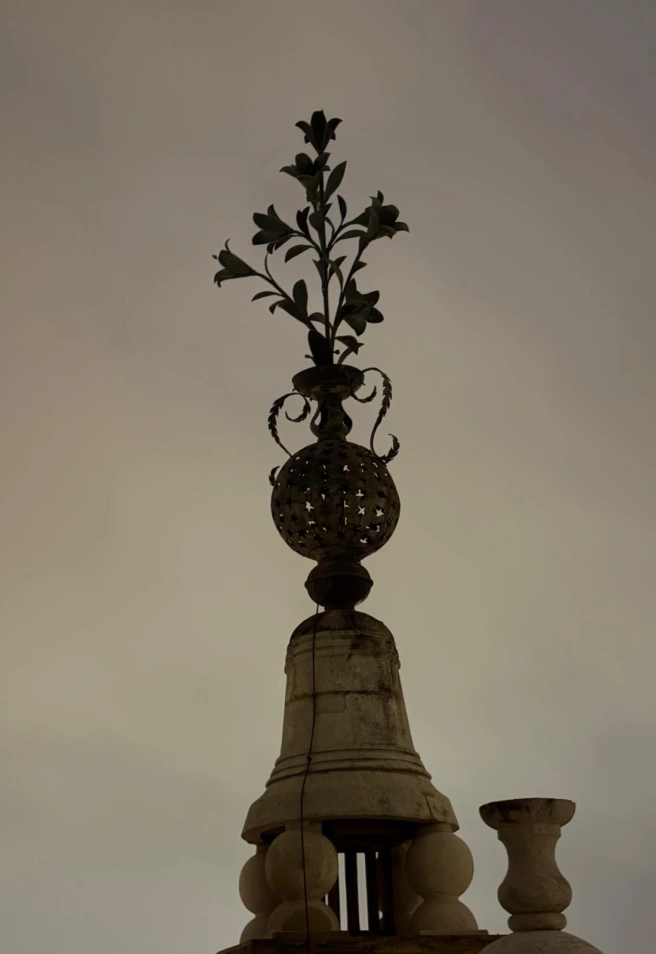 Azucena de la Giralda de Sevilla