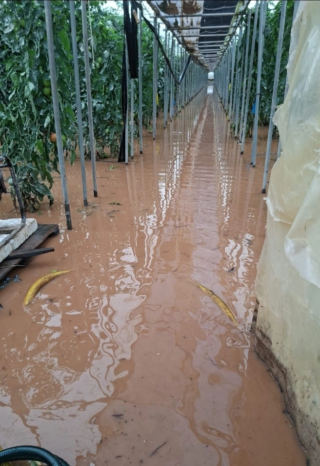 El temporal Leonardo arrasa el campo de Granada y pone en jaque la campaña agrícola