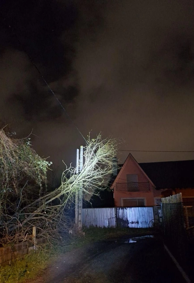 Árbol caído en Sada (A Coruña)