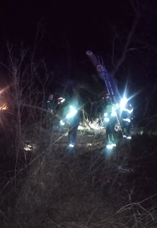 Instante de la actuación de los bomberos en Villaralbo