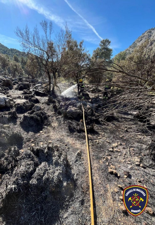 Incendio en Escorca