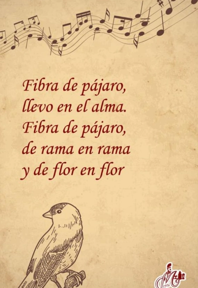 “Fibra de pájaro”