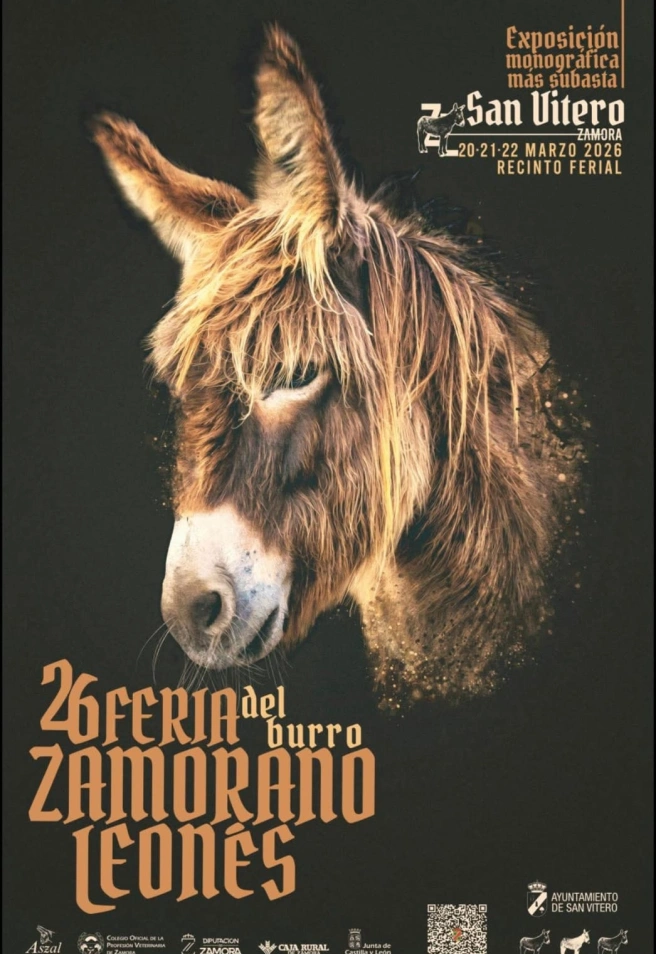 CARTEL FERIA SAN VITERO EXPOSICIÓN MONOGRÁFICA RAZA ASNAL