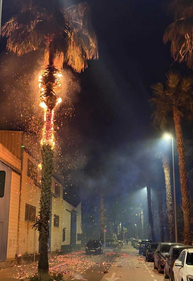 Palmera en llamas en Dénia