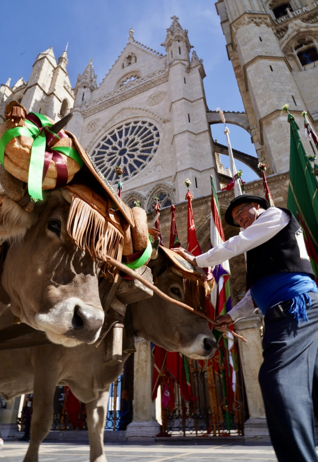 Concentración de Pendones Concejiles de la provincia de León, con alzamiento simultáneo al ritmo del himno de León, y posterior desfile hasta la Plaza de Regla, frente a la catedral de León