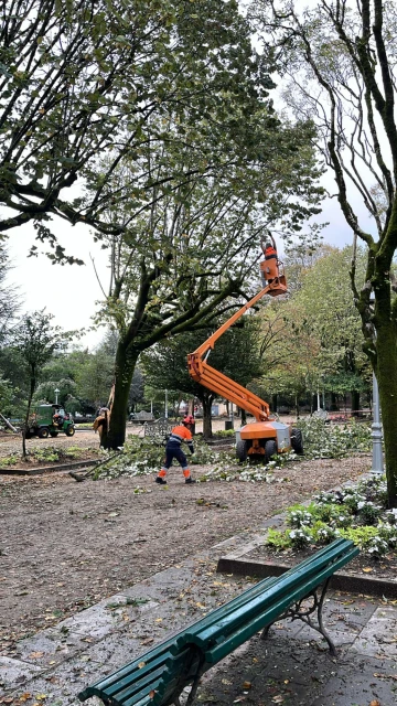 Operarios de Parques y Jardines continúan limpiando y valorando el estado del parque