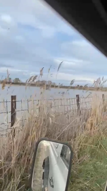 Situación de la finca de Belén Ortega tras las crecidas del río Tajo.