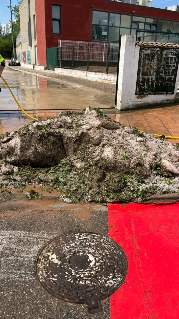 Los estragos del granizo: Clases canceladas, persianas agujereadas y aparición de grúas