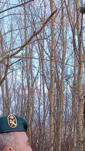 Recuperación aves exóticas