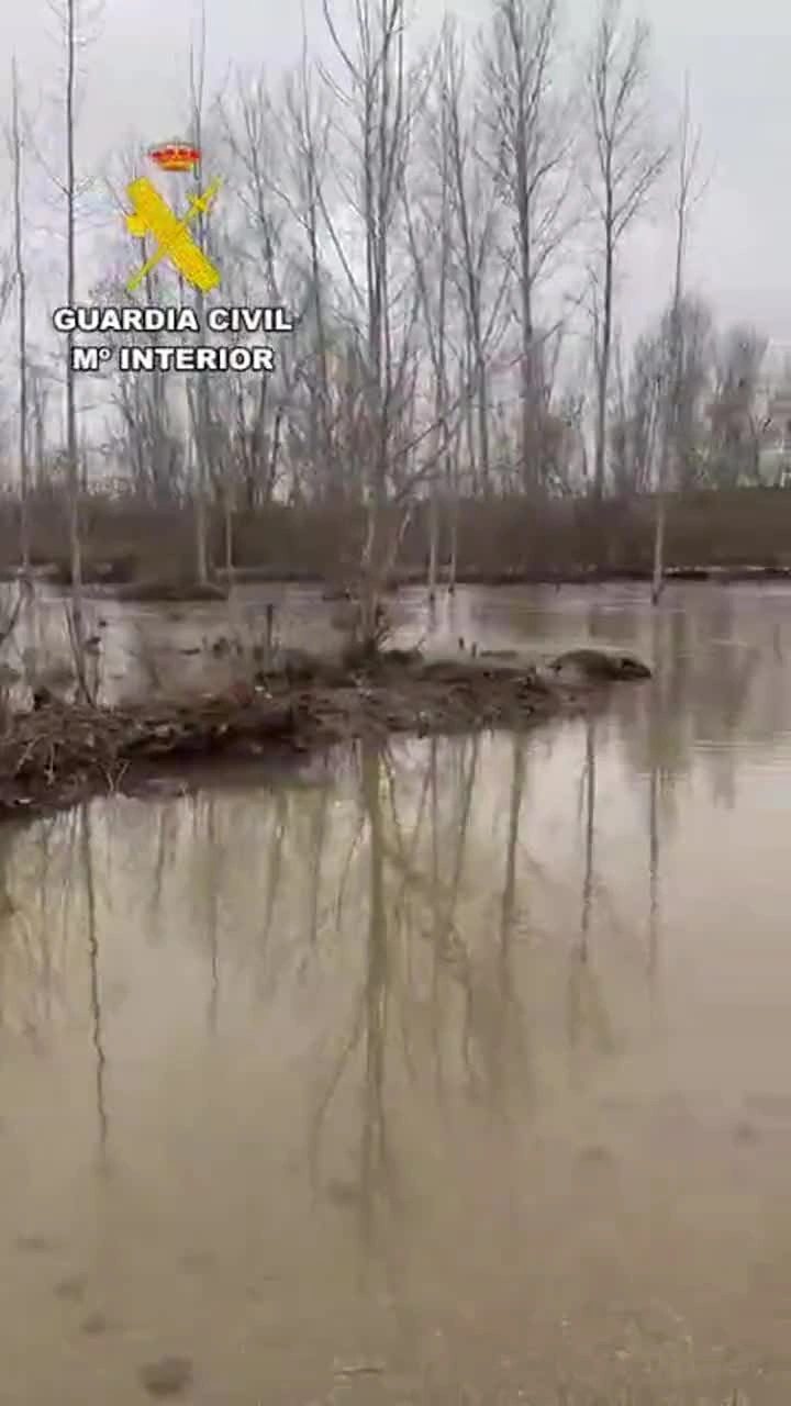 El río Cea se desborda a su paso por Sahagún