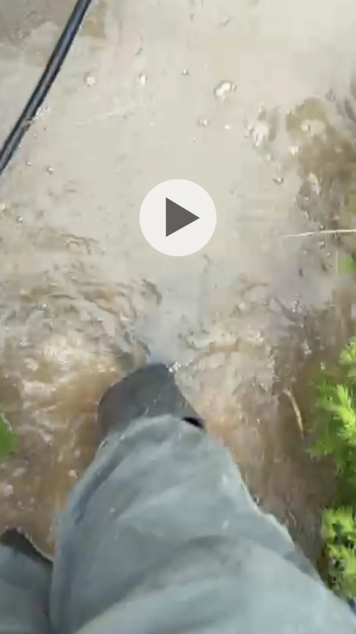 Invernadero inundado Chipiona