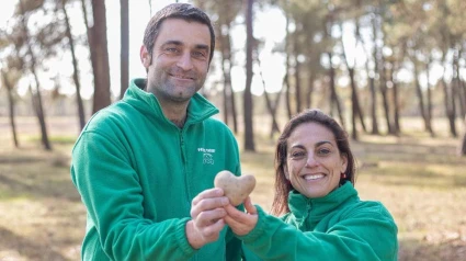 Patatas Tarsa