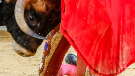 Plaza de Toros, quinta de abono