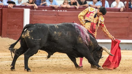 Rafael de Julia, al natural este domingo en Las Ventas