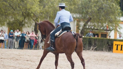 Prueba de doma vaquera