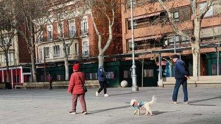 Perro suelto en el parque del Salón